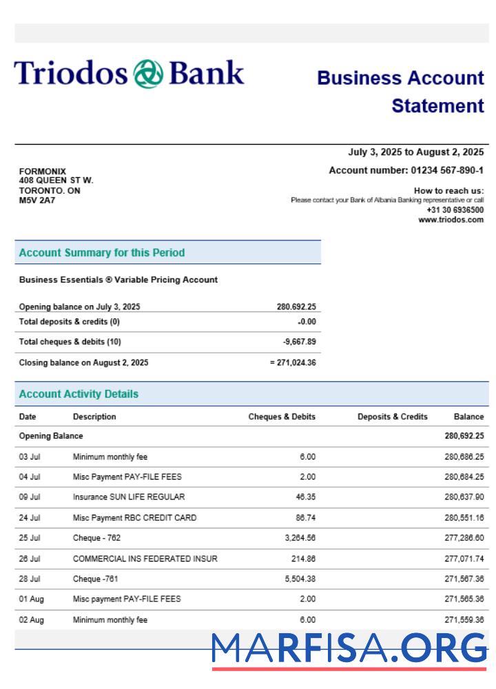 Printable Triodos Bank business firm account statement Word snd PDF format template